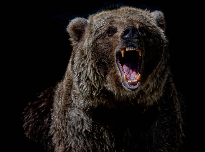 Bitcoin Deals With Possible Rate Drop To $25,000, On-Chain Data Signals Bearish Pattern