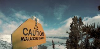 Avalanche (AVAX) Climbs Up Greater: Q1 2023 Outcomes Program Outstanding Development