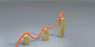 Stacks (STX) Rate Defies Bears, Rises While The Marketplace Bleeds