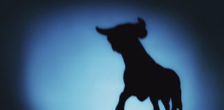 Bitcoin Market in Chaos, However Optimism Prevails With 2 Stories