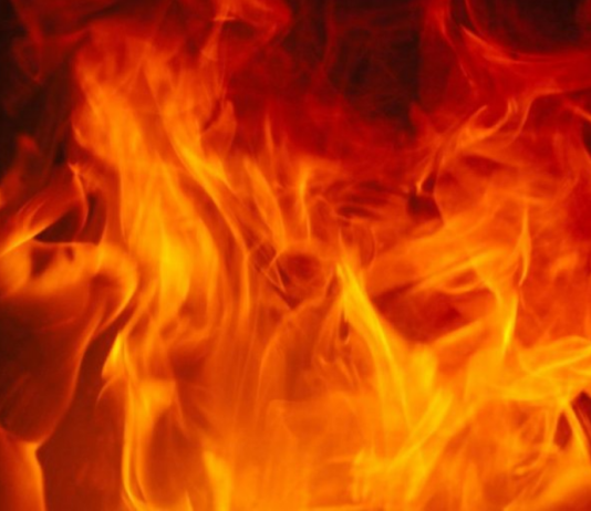 Shiba Inu Burn Rate Explodes 31,000%– Will Rate Warm Up Also?