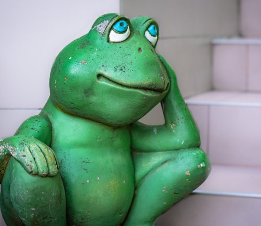 From $27 to $4M: Pepe Wallet Not Able To Offer Unstoppable Rally
