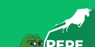 Pepe Shakes Off CZ’s Questionable Views On Meme Coins, Soars 709%