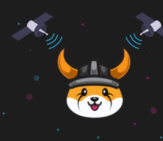 Floki Inu Rallies 40% In 24 Hours: Here’s Why
