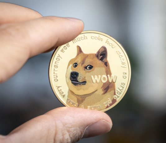 Dogecoin Cost Forecast: Doge Strikes Bearish Circuit and Might Drop To $0.07