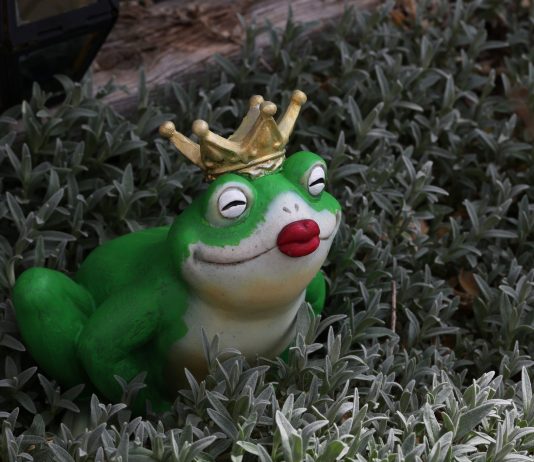 PEPE, WOJAK, TURBO Take A Nosedive As Meme Coin Bliss Wanes