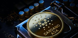 Cardano DeFi Takes The Program, Exceeds The Marketplace With Explosive Deal Development