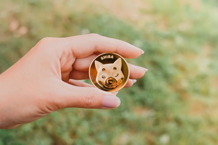 Overall Variety Of Shiba Inu Attends To In Earnings Drops As Market Braces For Effect