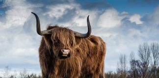 Uniswap (UNI) Rises After A Rough Trip, Is Bearish Run Over?