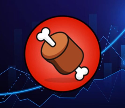 BONE Token Controls India Exchange Survey, Outshining Competitors Like PEPE And FLOKI