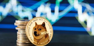 Elon Musk Stepping Down as Twitter CEO, Will This Be Completion of Dogecoin?