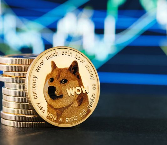 Elon Musk Stepping Down as Twitter CEO, Will This Be Completion of Dogecoin?