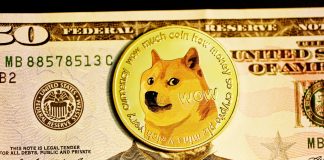 Dogecoin Expected To Experience An Additional 6% Reduction Prior to Starting Healing