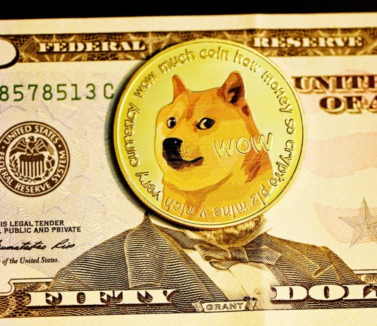 Dogecoin Expected To Experience An Additional 6% Reduction Prior to Starting Healing