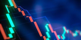 This Trader Has More Than $10 Countless PEPE And LADYS, However Can’t Offer