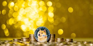 Dogecoin Sees Highest Deals Count Ever Due DRC20 Insanity