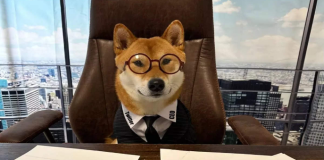 Dogecoin Clone Doge CEO Escalates Almost 200% As Meme Coin Mania Raves On