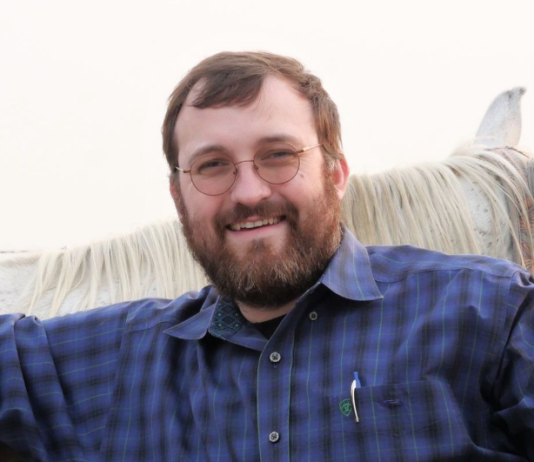 Cardano Creator Advises Concern On Election To Prevent Additional Turmoil In Crypto Cardano Creator Advises Concern On Election To Prevent Additional Turmoil In Crypto