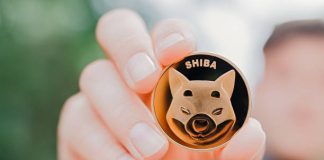 Shiba Inu Might Rally Another 10% Upon Exceeding This Cost Level Shiba Inu Might Rally Another 10% Upon Exceeding This Cost Level
