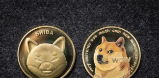 Dogecoin, Shiba Inu Whales Move Enormous Quantities, Discarding Going On?