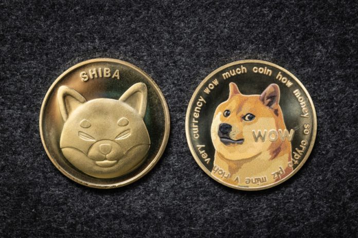 Dogecoin, Shiba Inu Whales Move Enormous Quantities, Discarding Going On?
