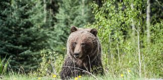 Toncoin (LOT) Rate Drops As Bears Overpower Bulls In Market Decline