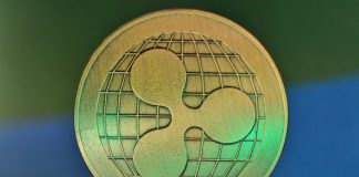 XRP Becomes Leading Carrying Out Crypto With 55% Rise– Messari Report