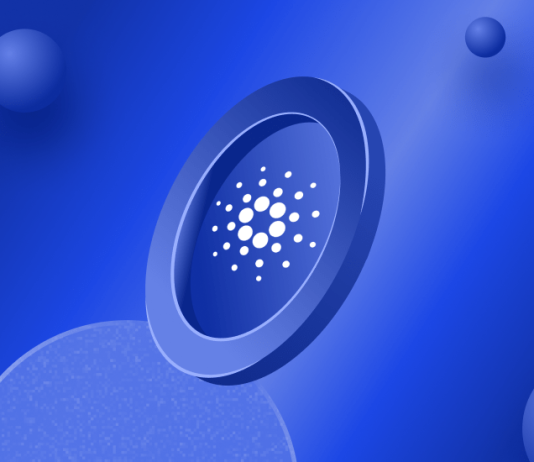 Information Recommends Little Holders Will Drive Next Cardano (ADA) Rally