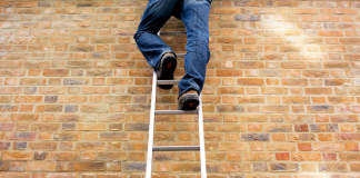 Floki Inu: Does Meme Coin Have What It Requires To Return To Leading 100 Area?