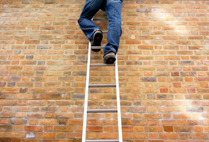 Floki Inu: Does Meme Coin Have What It Requires To Return To Leading 100 Area?