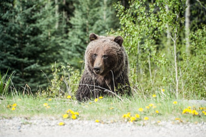 Bearish Belief Strikes EOS As Bulls Lose Control, What Lies Ahead?