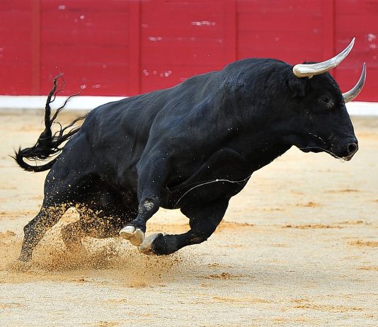 Quant Buzz Spikes As Cost Rises 15%– Is This A Leading Signal?