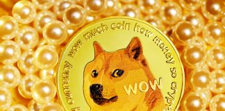 Dogecoin Plunges 7% As Whales Make Big Relocations