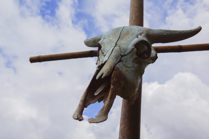 Bitcoin (BTC) Rollercoaster Trip: Is $23,000 Completion Of The Line?