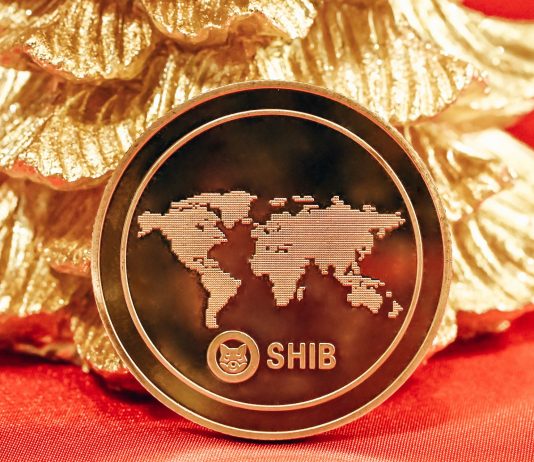 Shiba Inu Breaks Below This Development: Signals Possible Additional Losses