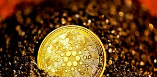 Cardano Rate Threatens Multi-Month Low Unless Bulls Defend This Assistance