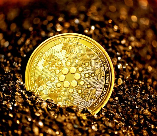 Cardano Rate Threatens Multi-Month Low Unless Bulls Defend This Assistance Cardano Rate Threatens Multi-Month Low Unless Bulls Defend This Assistance