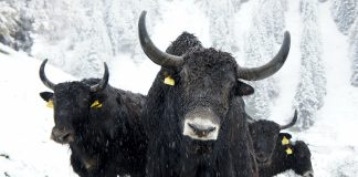 MATIC Cost Reveals Bullish Development– What’s Next?