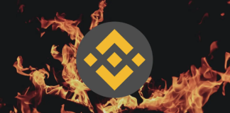 Bearish BNB Indications Tip Sag May Persist Beyond Expectations