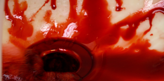 XRP Smothered In Red In Spite Of Enormous Whale Build-up, Hinman Docs Release XRP Smothered In Red In Spite Of Enormous Whale Build-up, Hinman Docs Release