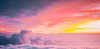 Arbitrum Airdrop Success: Metrics Skyrocket Greater Throughout The Board