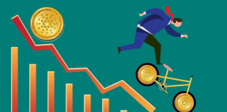 Cardano (ADA) Rate Sheds 19% As Bearish Belief Looms Big