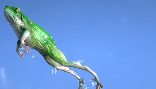PEPE Jumps Almost 10% In 24 Hours, Stimulating Speculation Of A Brand-new Rally