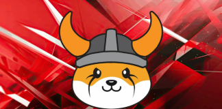 Floki Inu Dull, Motionless Following Binance Metaverse Combination– Here’s Why