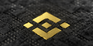 Binance Coin (BNB) Defies Regulatory Pressure, Holds $220 Assistance