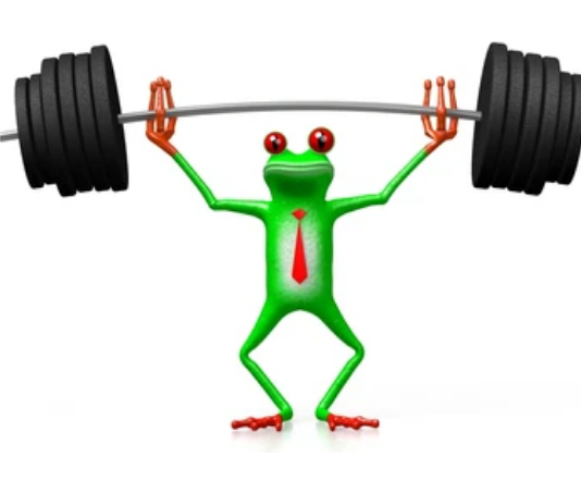 PEPE Sustains Steady Climb, Sustaining Speculation Of Revenues