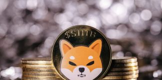 United States Political Leader Cheers Shiba Inu Rate Rise, However Pattern Turnaround Still Pending United States Political Leader Cheers Shiba Inu Rate Rise, However Pattern Turnaround Still Pending