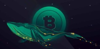 Bitcoin Whale Eliminates Almost $400 million In BTC From Binance Bitcoin Whale Eliminates Almost $400 million In BTC From Binance