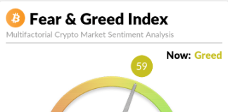 Bitcoin Investors End Up Being Greedy For Very First Time Given That May
