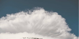 AVAX Breaches $13 Barrier With 16% Rally– What’s The Next Cost Level To Enjoy?